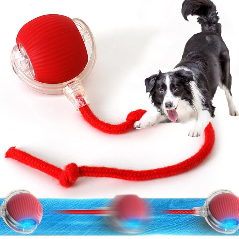 Hot Electric Dog Ball Toy – Automatic Rolling Smart Pet Toy for Dogs & Cats | Rechargeable Plush Mouse Simulation