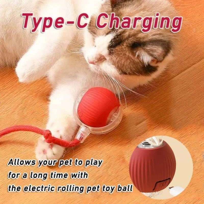 Hot Electric Dog Ball Toy – Automatic Rolling Smart Pet Toy for Dogs & Cats | Rechargeable Plush Mouse Simulation