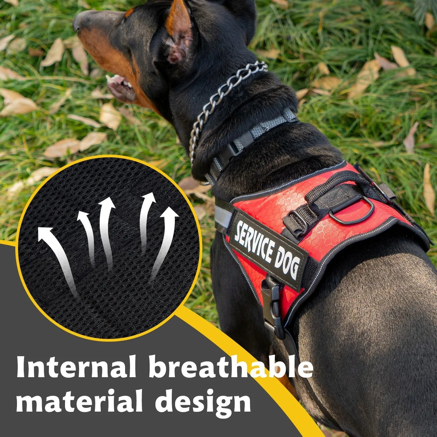 Dog Harness & Tug Belt – Chest Strap for Medium & Large Dogs | Explosion-Proof Golden Hair Bucket Design