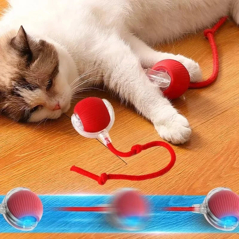 Hot Electric Dog Ball Toy – Automatic Rolling Smart Pet Toy for Dogs & Cats | Rechargeable Plush Mouse Simulation
