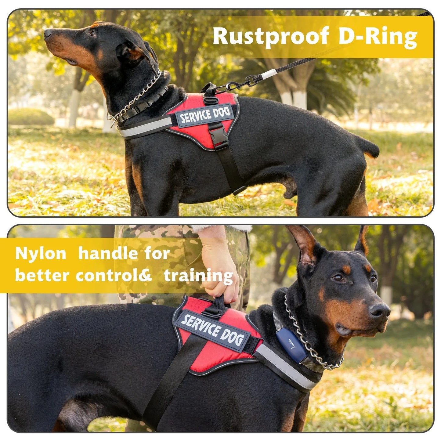 Dog Harness & Tug Belt – Chest Strap for Medium & Large Dogs | Explosion-Proof Golden Hair Bucket Design