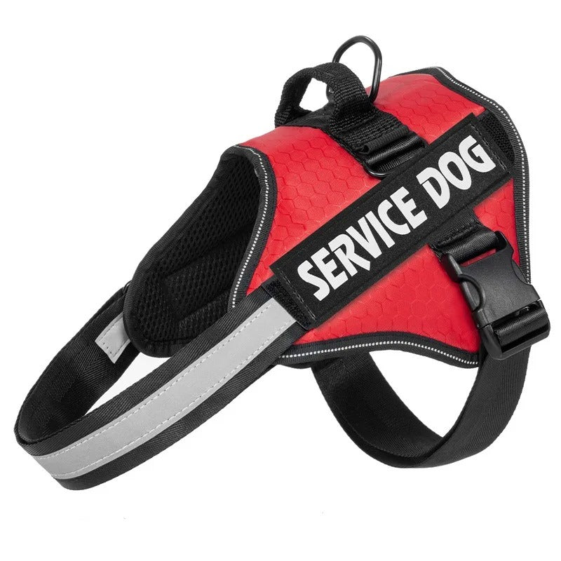 Dog Harness & Tug Belt – Chest Strap for Medium & Large Dogs | Explosion-Proof Golden Hair Bucket Design